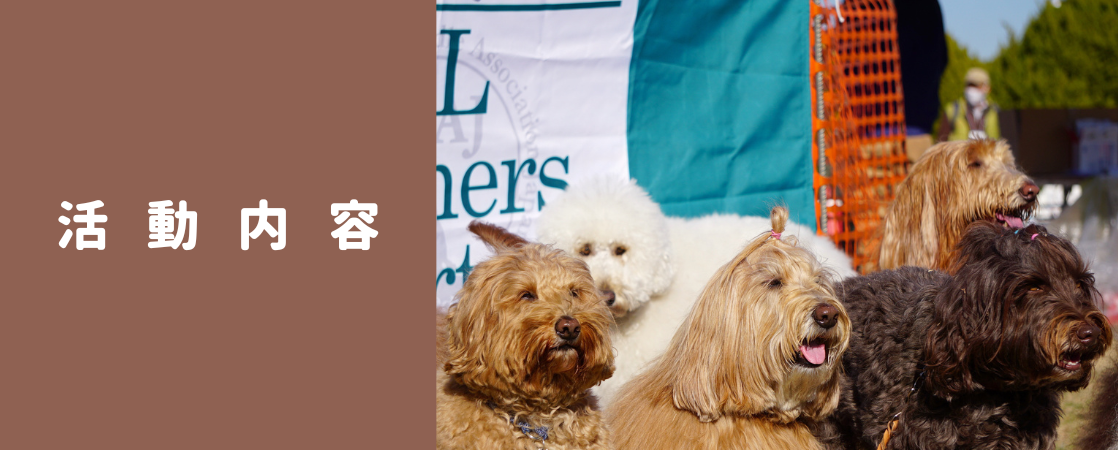 犬種の固定と認定を目指して。この素晴らしい犬を愛するすべての人のために。